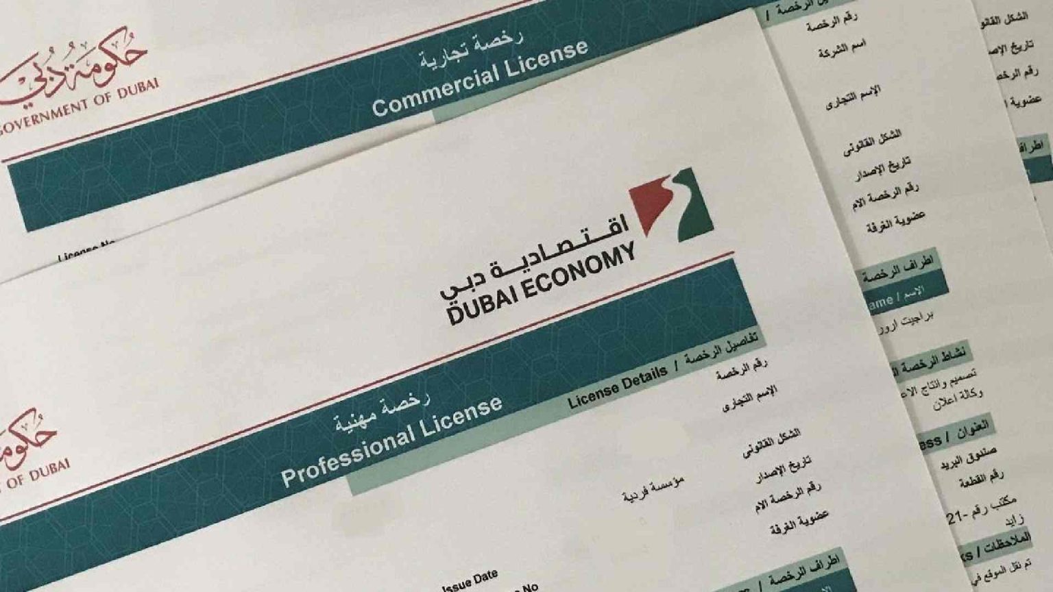 Trade License Renewal, Grace Period, And Penalties in Dubai