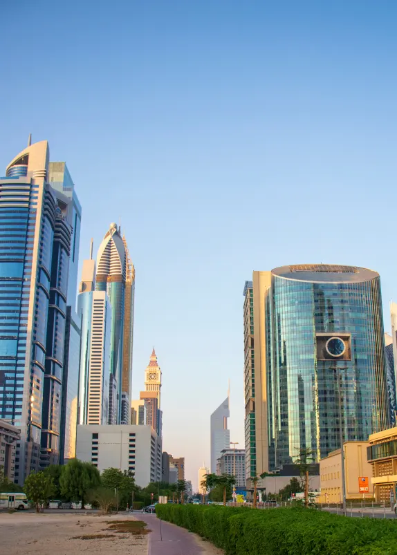 Trade License Renewal & Liquidation