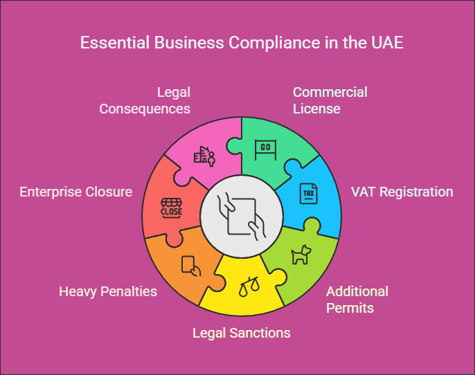 Crucial Licenses and Permits